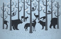 enchanted forest